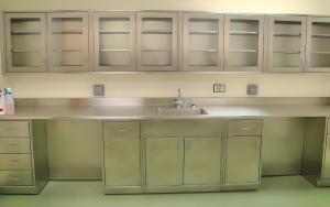 Stainless Laboratory Cabinets